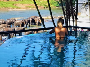 Hotel Elephant Park 